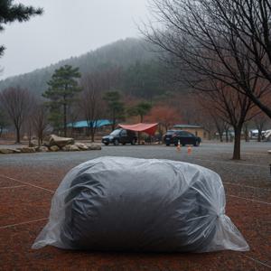 1+1 국내생산 대형 김장비닐 72x105 10장 PE 김장봉투 고추비닐 이사 캠핑 비닐봉투