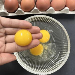 자연방사 난각 1번 유정란 계란 20구 / 40구 /10일까지 특별할인 +무료배송