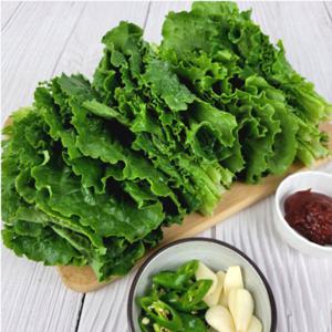 (신선집중) 매일 수확 싱싱한 익산 상추 청상추 꽃상추 2kg