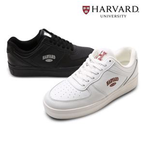 [하버드]하버드 레이든 성인 운동화 컨버스 스니커즈
