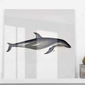 아트박스/꾸밈 ce863-아크릴액자_돌고래한마리중형