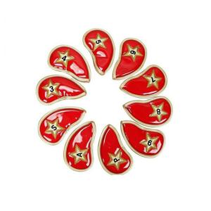 취미 골드 스타 아이언커버 10세트 레드