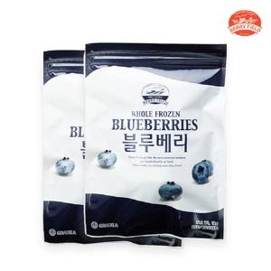 냉동 블루베리 칠레산 1Kg X 2개 베리필드샵