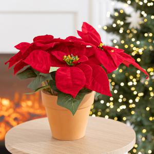 크리스마스 장식 포인세티아 조화 화분 베이직 set 20cm 소품 테이블 탁상용 데코 행사 촬영 꾸미기