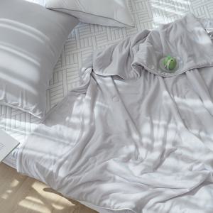 [샤이닝홈]더블리 아이스블러쉬 냉감이불 SS