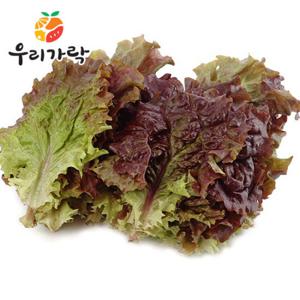 [우리가락]적상추 500g