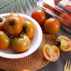 HACCP인증 달콤한 다니 스테비아 완숙토마토 800g * 2팩