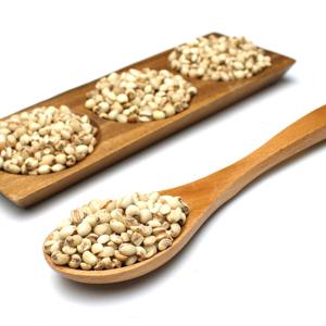 국산 율무 백미 500g 의이인 율무차