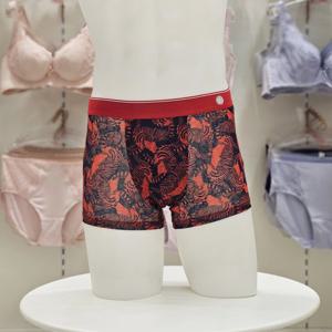 [트라이엄프] 펠리칸 망사 드로즈 TEMDR112 RD