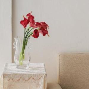 아트박스/포홈 포홈 카라 부쉬 조화 2color