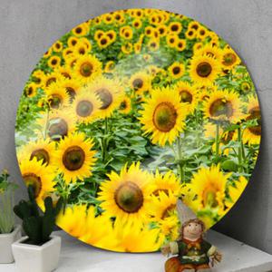 아트박스/꾸밈 cs907-원형아크릴액자_해바라기들