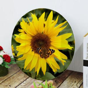 아트박스/꾸밈 tk593-원형아크릴액자_나비와해바라기