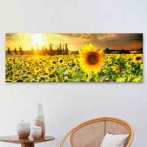 아트박스/꾸밈 ct726-노을해바라기밭_대형노프레임