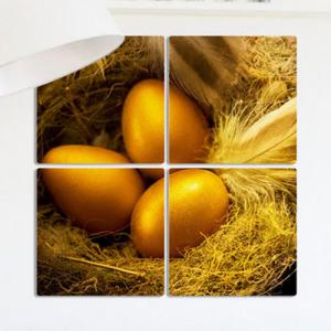 아트박스/꾸밈 tb383-멀티액자_황금달걀