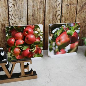 아트박스/꾸밈 pk318-스탠드액자2P_풍요로운사과나무4