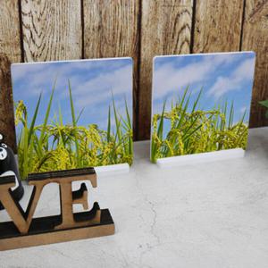 아트박스/꾸밈 ii697-스탠드액자2P_고개를숙인벼이삭풍경