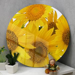 아트박스/꾸밈 tm584-원형아크릴액자_활짝핀풍수해바라기