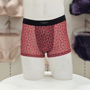 [트라이엄프] 레드 그물망사 아웃밴드 드로즈 사각팬티 TEMDR613 RD