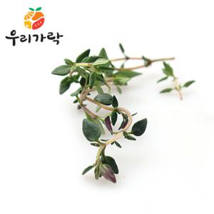 [우리가락]타임 250g 한팩