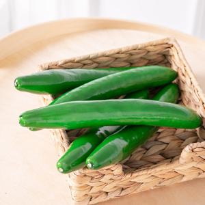 오이 모형 채소 A type (2PCS) 모조 인조 가짜 야채 장식 소품 촬영 진열