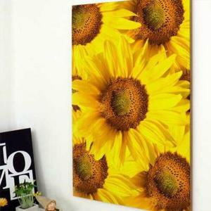 아트박스/꾸밈 ch903-아크릴액자_해바라기가득(대형)