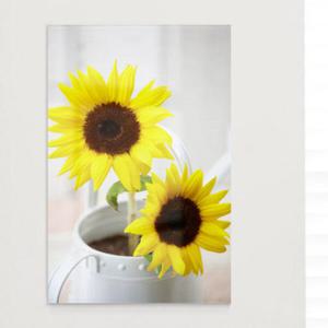 아트박스/꾸밈 ii157-아크릴액자_밝은풍수해바라기(대형)