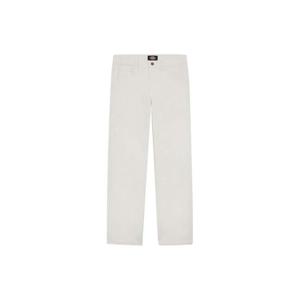Dickies 맨즈 casual 팬츠 0072541SWCLOUD