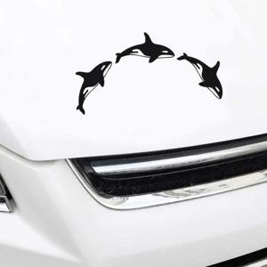 할인가 희망S 범고래 차량용스티커 / 초보운전 자동차