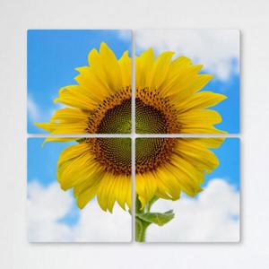 아트박스/꾸밈 tb445-멀티액자_파란하늘과어울리는해바라기