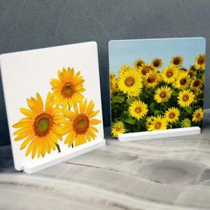 아트박스/꾸밈 pa877-스탠드액자2P_풍요와재물의해바라기01