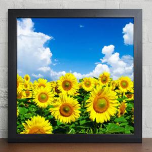 아트박스/꾸밈 cy818-밝은햇살과해바라기_디자인액자