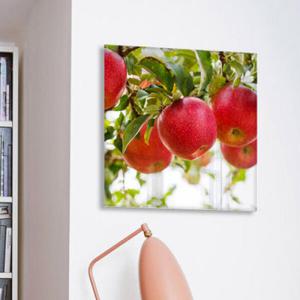 아트박스/꾸밈 ce272-아크릴액자_풍수의빨간사과(중형)