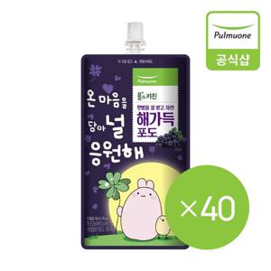 [풀무원] 해가득 포도주스 (150mlX40EA)