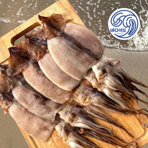 국산 반건조오징어(중) / 동해안 반건오징어