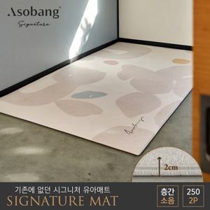 [아소방] 2P 시그니처 유아 놀이방매트 지베르니 250