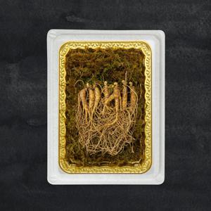 [명가일품] 정품인증 프리미엄 산양삼 장뇌삼 5-6년근/7뿌리