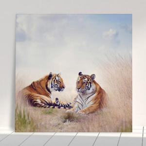 아트박스/꾸밈 cr014-아크릴액자_재앙을막는호랑이