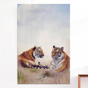 아트박스/꾸밈 cr013-아크릴액자_재앙을막는호랑이_대형