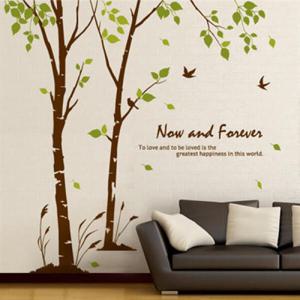 아트박스/제제데코 자작나무 숲의 이야기