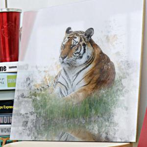 아트박스/꾸밈 tm033-아크릴액자_순한백호와호랑이