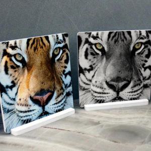 아트박스/꾸밈 ie189-스탠드액자2P_총명한호랑이