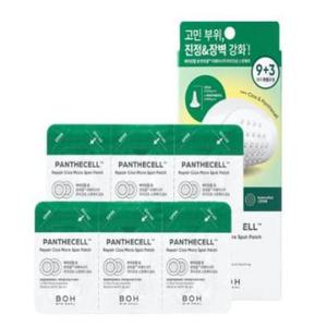 바이오힐보 판테셀 리페어시카 마이크로 스팟패치 9+3매 (AD)