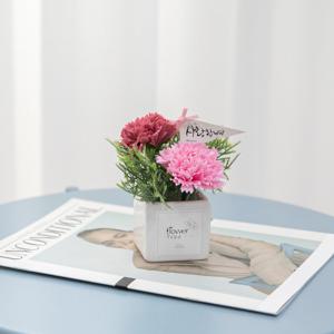 리프비누카네이션화분set 12cm PP1 조화 FMFUFT