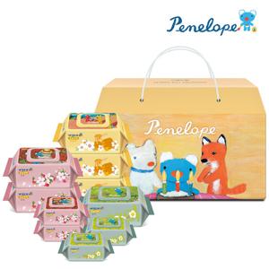 페넬로페 클래식 GIFT COLLECTION X 10팩