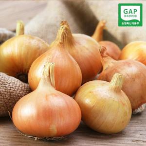 품질보장 햇 양파 3kg (소)
