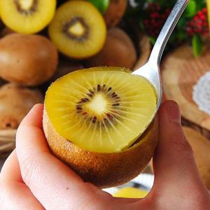 보성 골드키위 2kg 중과 23-25과