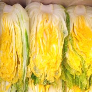 [예약판매] 해썹인증 국내산 강원도 절임배추 20kg 7-10포기 절인 김장 김치 NS