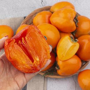 국내산 상주 곶감용감 둥시감 9kg 중대과