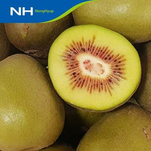 순천농협 레드키위 2kg(28과 내외)