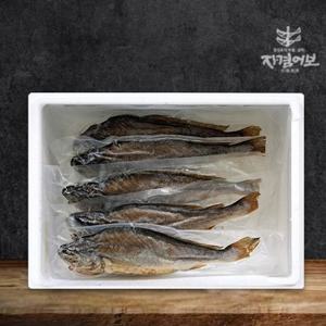 영광법성포 간편 찐보리굴비(부세)5미 28~30cm